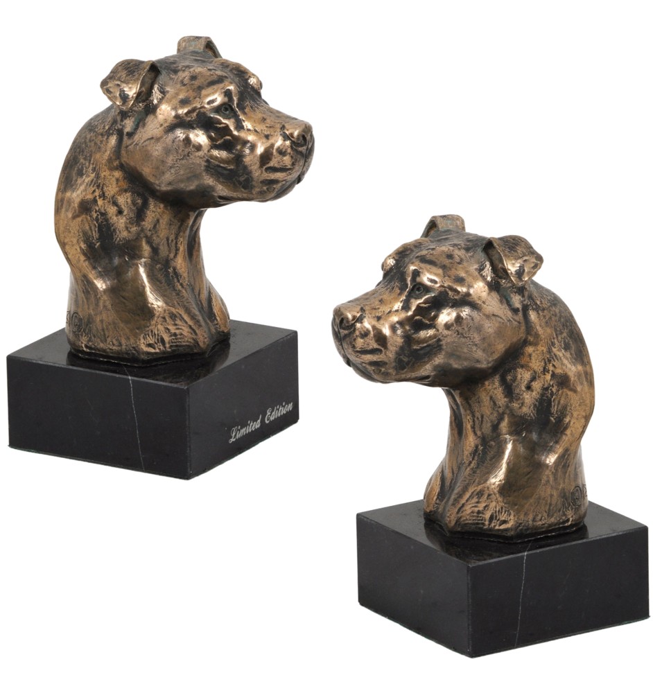 Amerykański Staffordshire terrier głowa na kamieniu Art-Dog